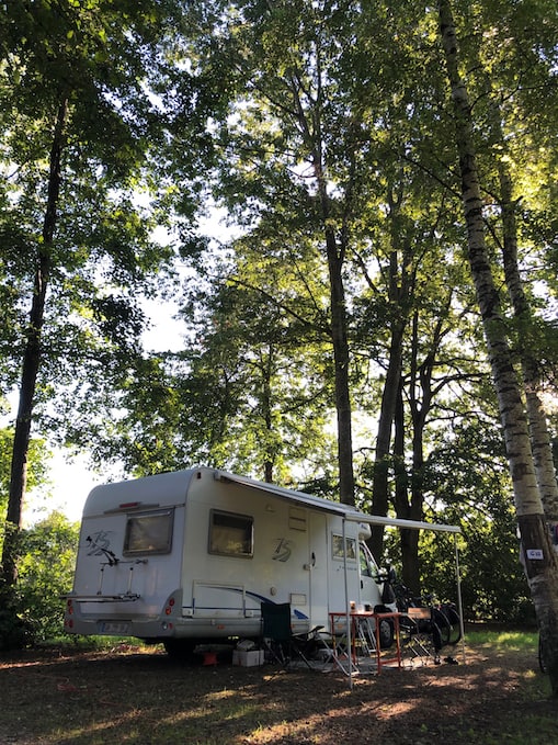 camping-car, arbres - camping 2024