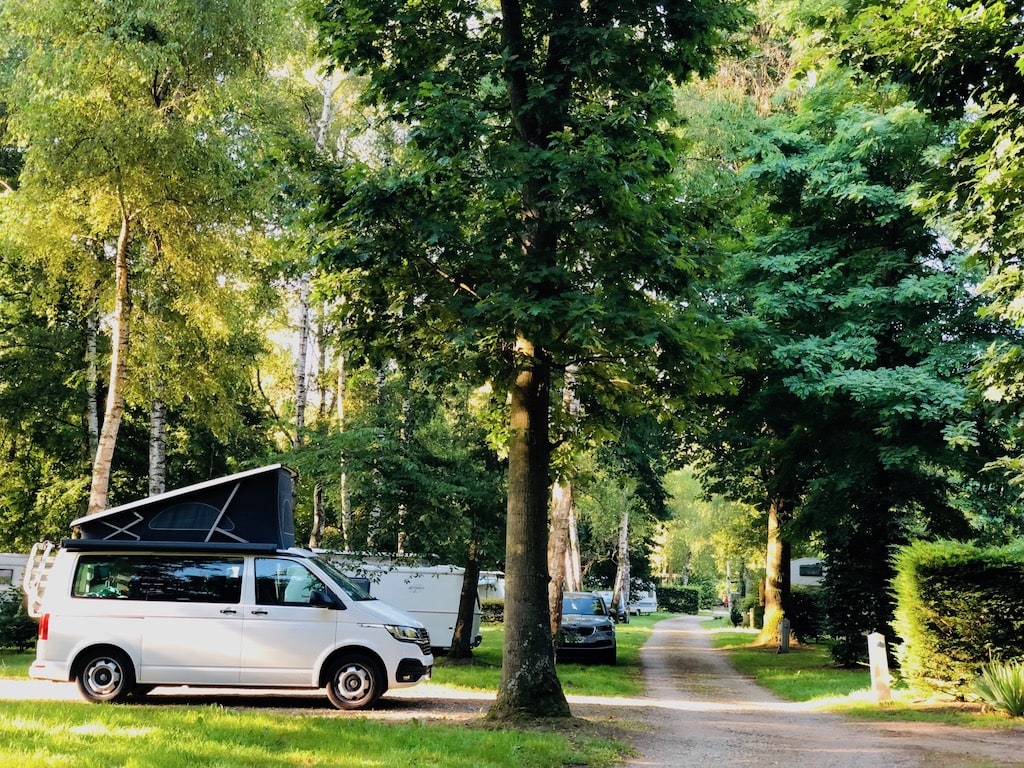 van, arbres - camping 2024